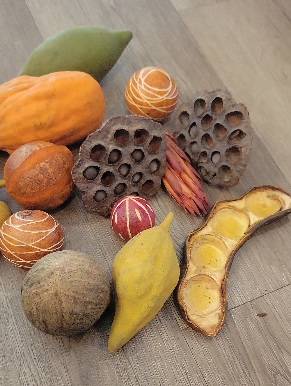 Decorative Dried Pod and Ball Mix - Yellow & Orange Home Accent